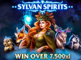 Sylvan Spirits game cover