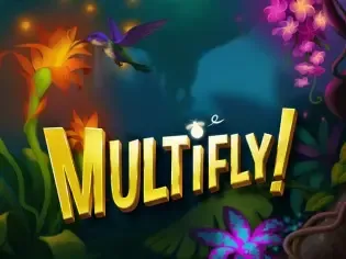 Multifly! game cover