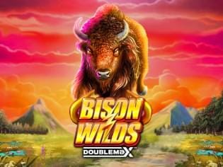 Bison Wilds DoubleMax game cover